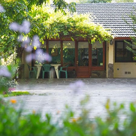 El Colibri Cabanas De La Naturaleza トレレウ エクステリア 写真