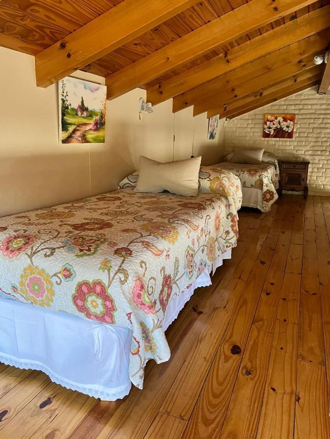 El Colibri Cabanas De La Naturaleza トレレウ エクステリア 写真
