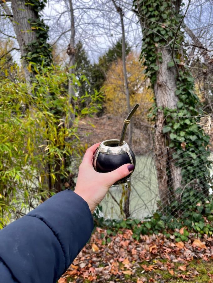 El Colibri Cabanas De La Naturaleza トレレウ エクステリア 写真