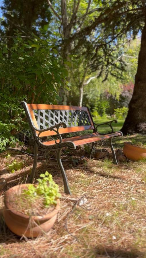 El Colibri Cabanas De La Naturaleza トレレウ エクステリア 写真
