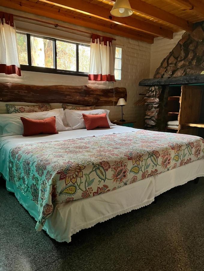 El Colibri Cabanas De La Naturaleza トレレウ エクステリア 写真