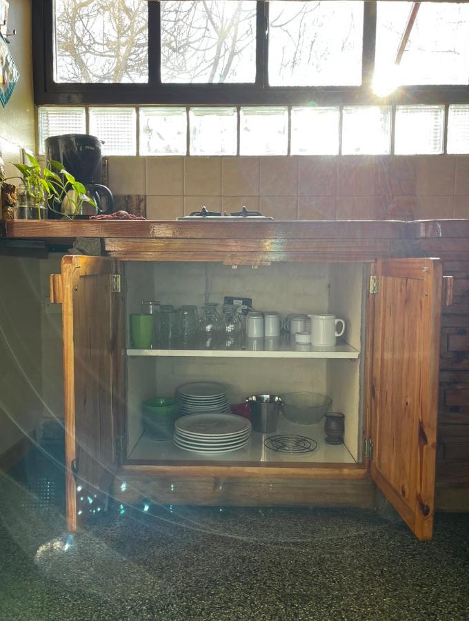 El Colibri Cabanas De La Naturaleza トレレウ エクステリア 写真