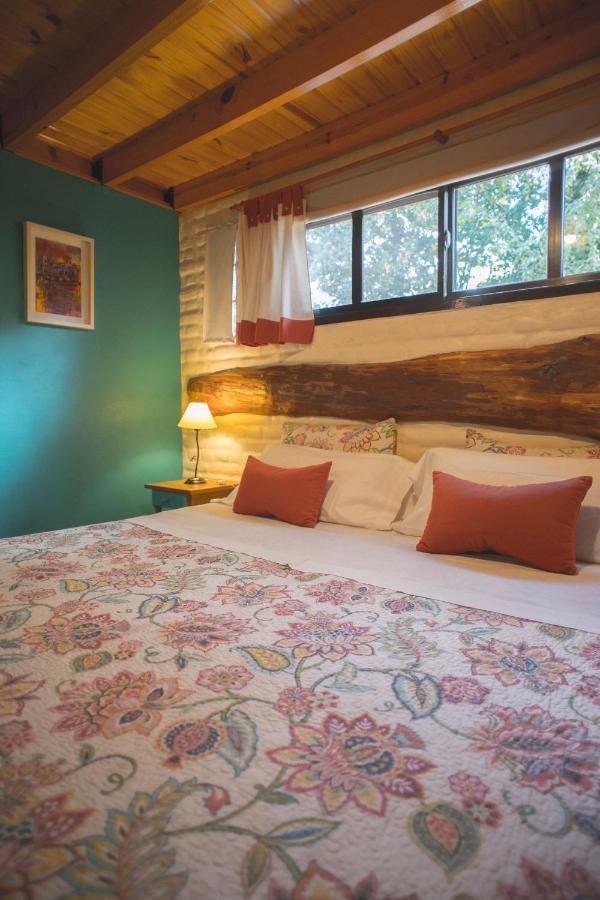 El Colibri Cabanas De La Naturaleza トレレウ エクステリア 写真